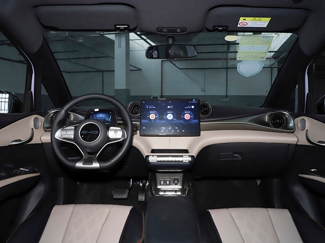 2024 BYD Dolphin Free Edition 45